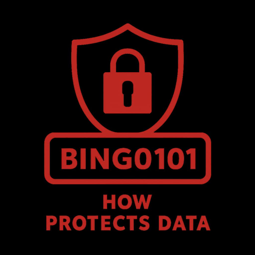 An icon representing data protection features of Bingo101.