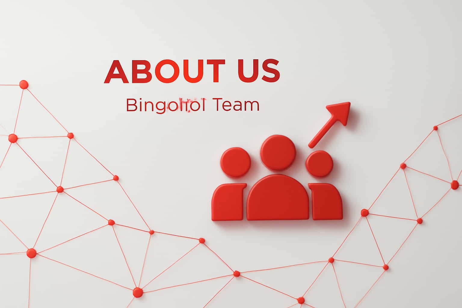 About Us - Bingo101 Team Interface